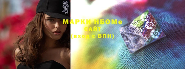 индика Дмитровск