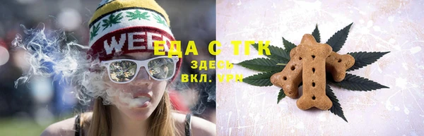 индика Дмитровск