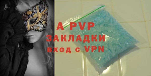 индика Дмитровск