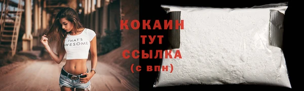 индика Дмитровск