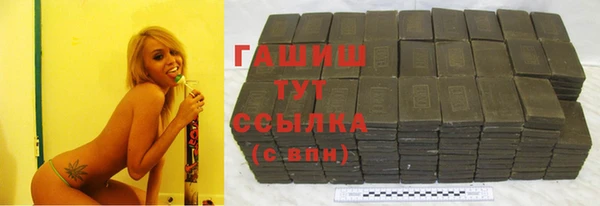 индика Дмитровск