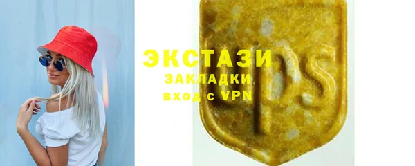 индика Дмитровск