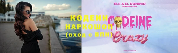 индика Дмитровск