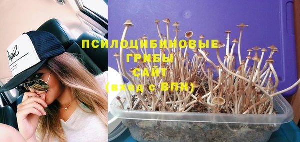 спиды Дмитров