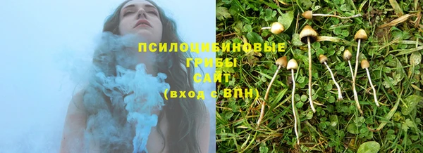 индика Дмитровск