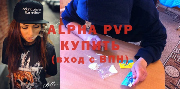 индика Дмитровск