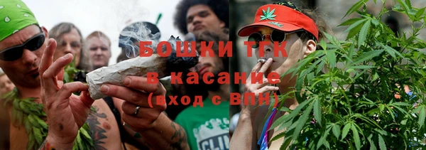 винт Дмитриев