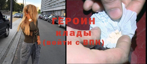 индика Дмитровск