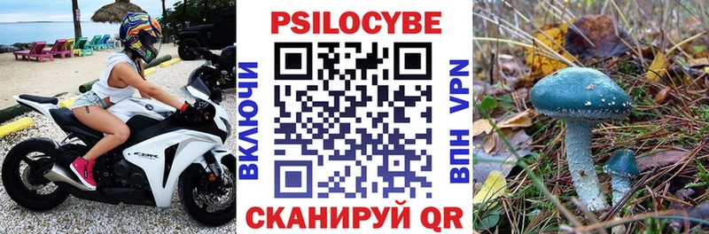 Псилоцибиновые грибы Magic Shrooms  это официальный сайт  Щигры 
