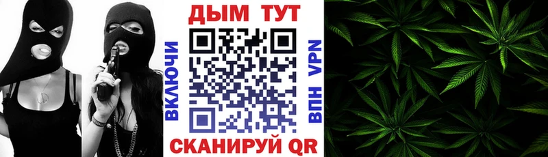Канабис White Widow  нарко площадка телеграм  Щигры  KRAKEN рабочий сайт 